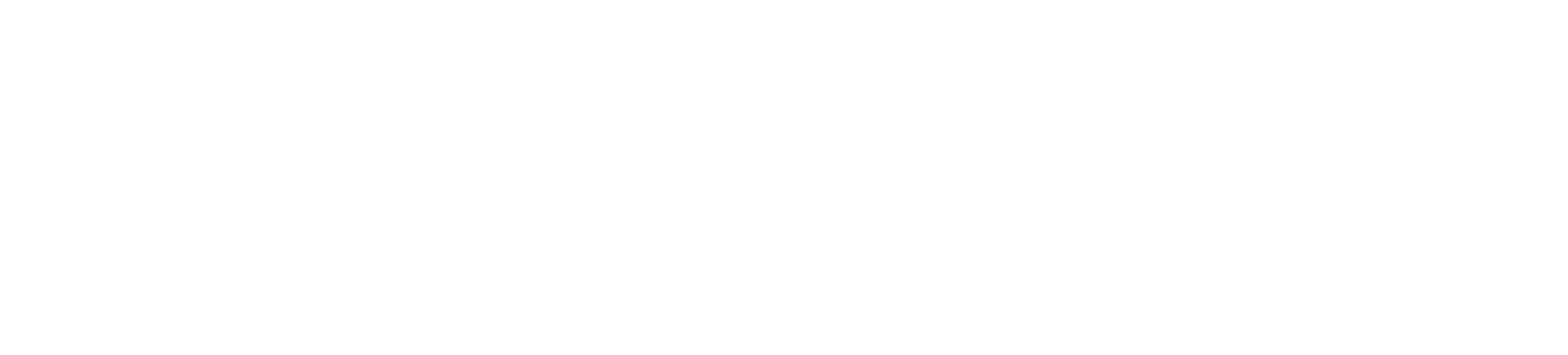 Nexa Labs